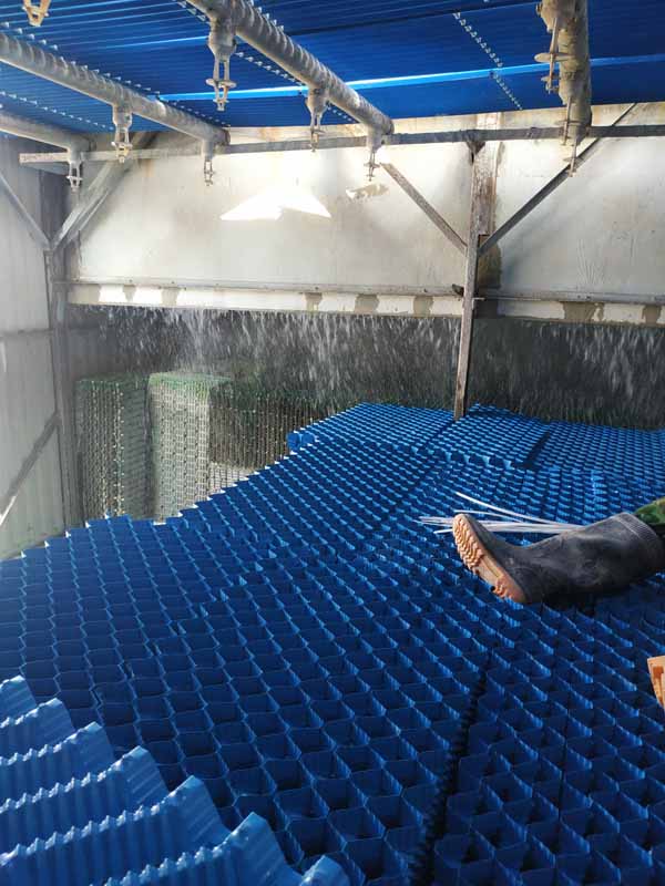 成都新津方形逆流冷却塔1600T冷却塔填料更换现场
